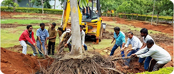 Vata Foundation established