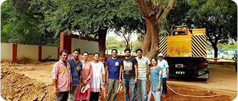 Big Tree Quest initiative