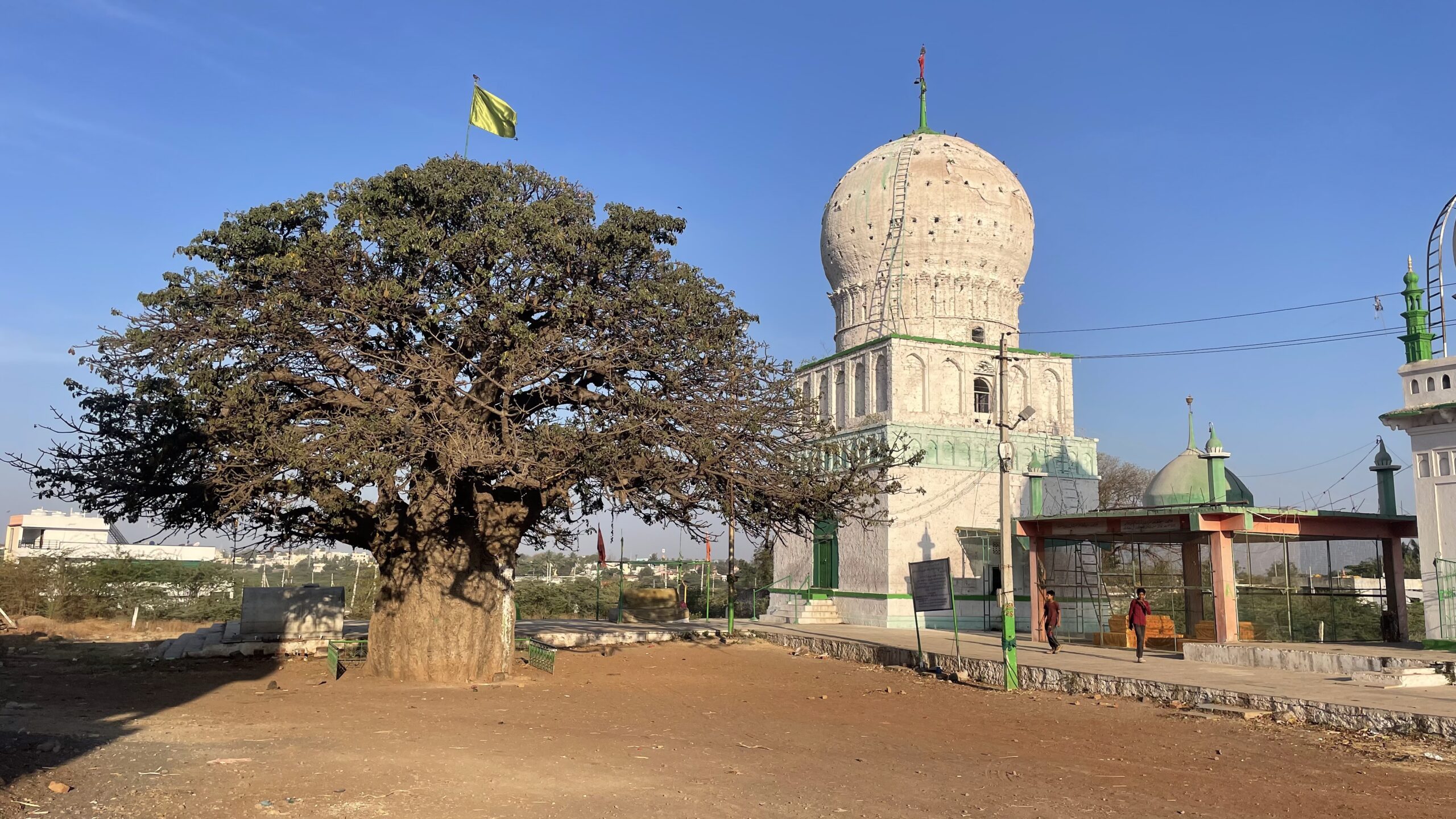 Yogapur Baobab