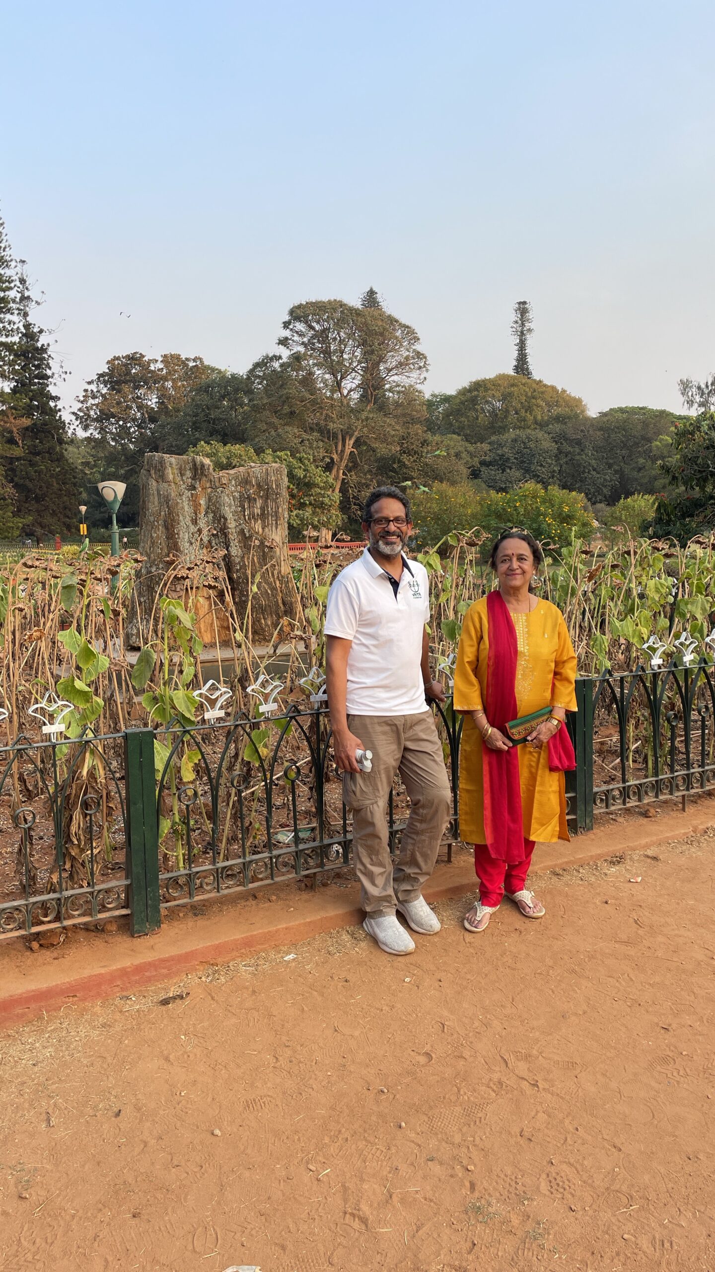 Lalbagh Fossil Tree