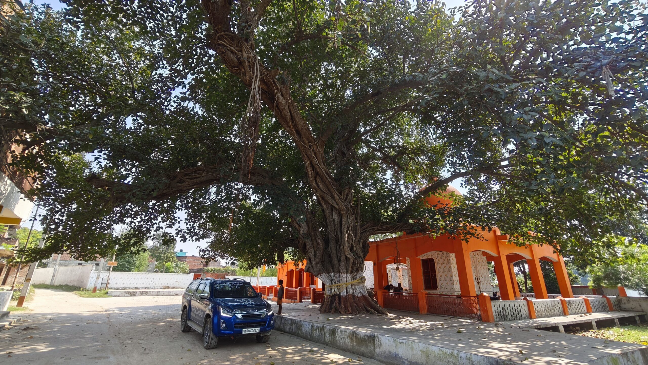 Mauhar Banyan
