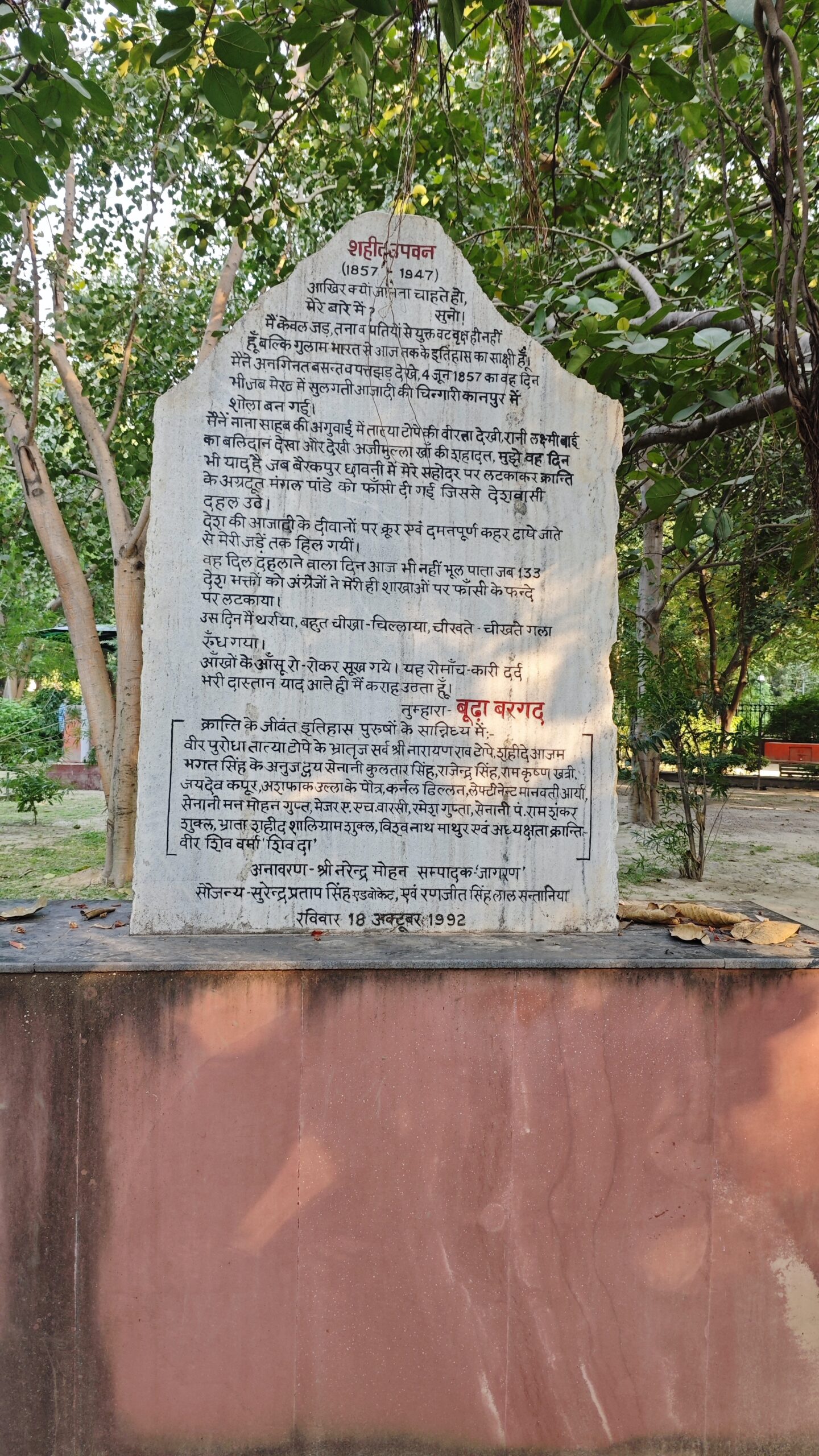 Budha Bargad(Bareilly Freedom Fighter Banyan)